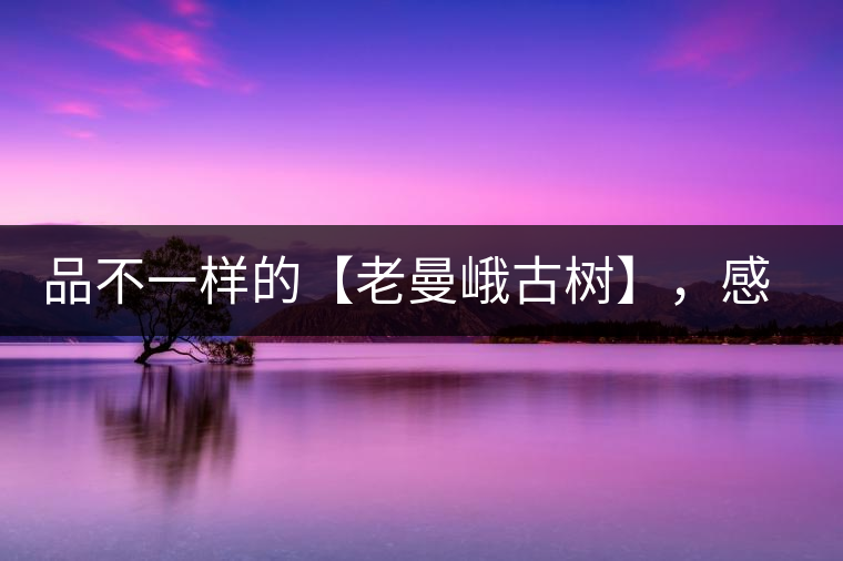 品不一樣的【老曼峨古樹(shù)】，感受別樣甘甜與溫婉