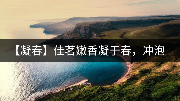 【凝春】佳茗嫩香凝于春，沖泡要訣盡在此