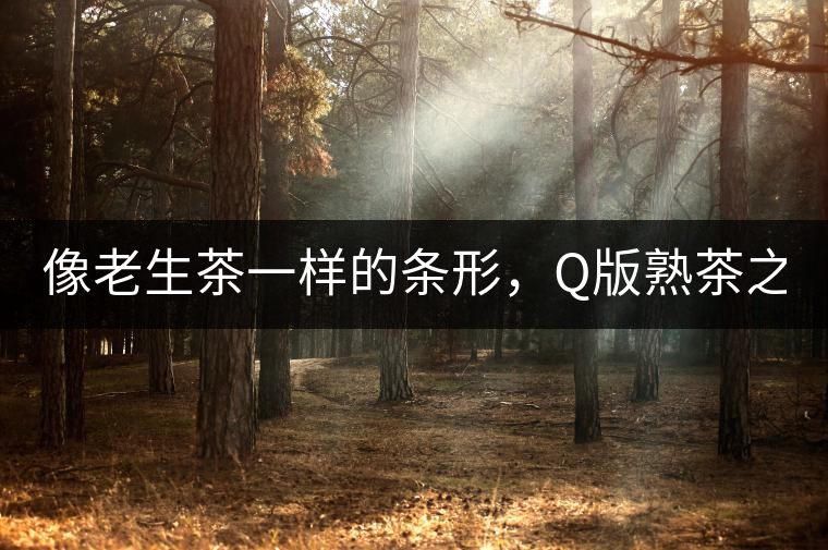 像老生茶一樣的條形，Q版熟茶之【融璞】