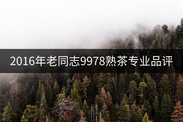 2016年老同志9978熟茶專業(yè)品評