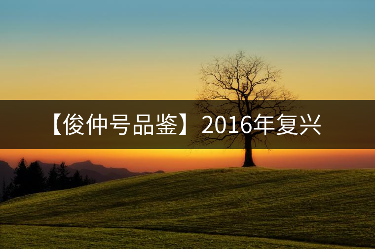 【俊仲號品鑒】2016年復(fù)興