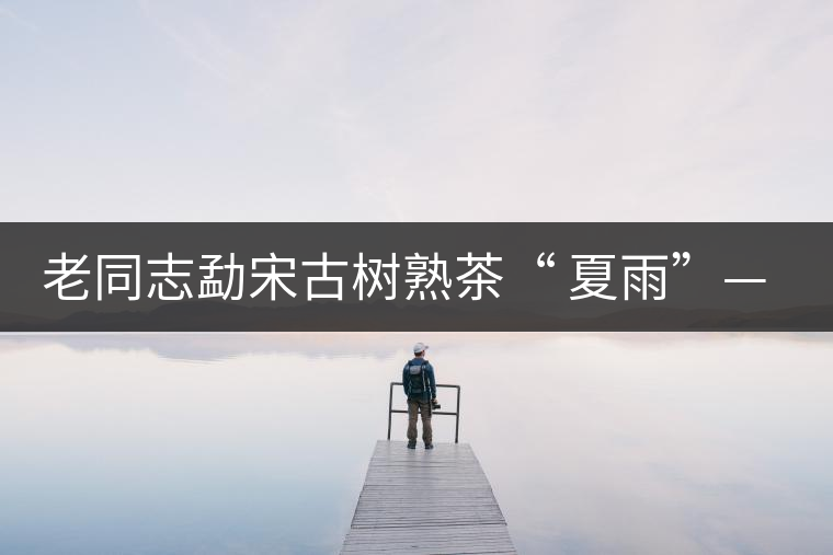 老同志勐宋古樹(shù)熟茶“ 夏雨”— 飲茶伴夏，只為您！