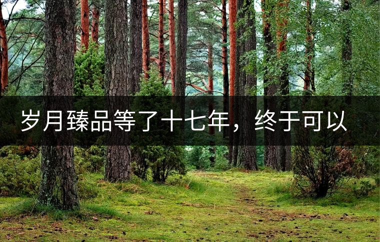 歲月臻品等了十七年，終于可以品味歲月