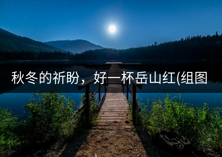 秋冬的祈盼，好一杯岳山紅(組圖)