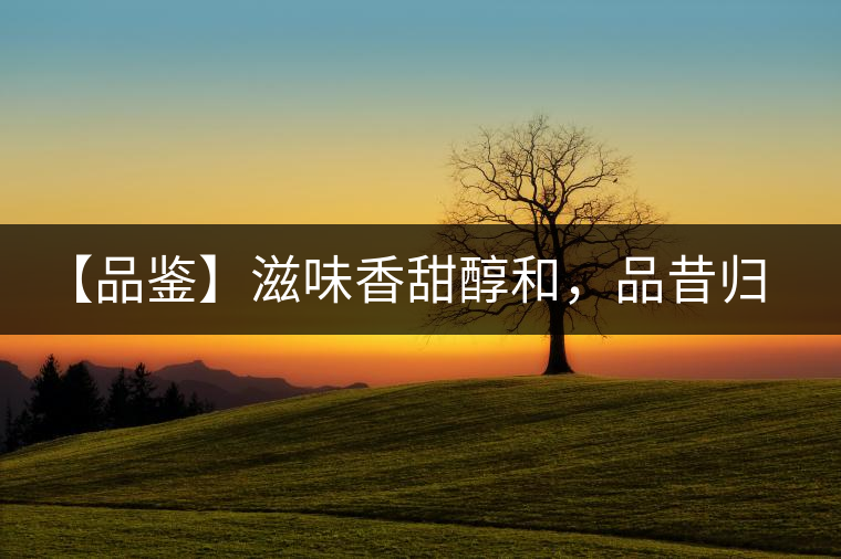 【品鑒】滋味香甜醇和，品昔歸古樹黃片