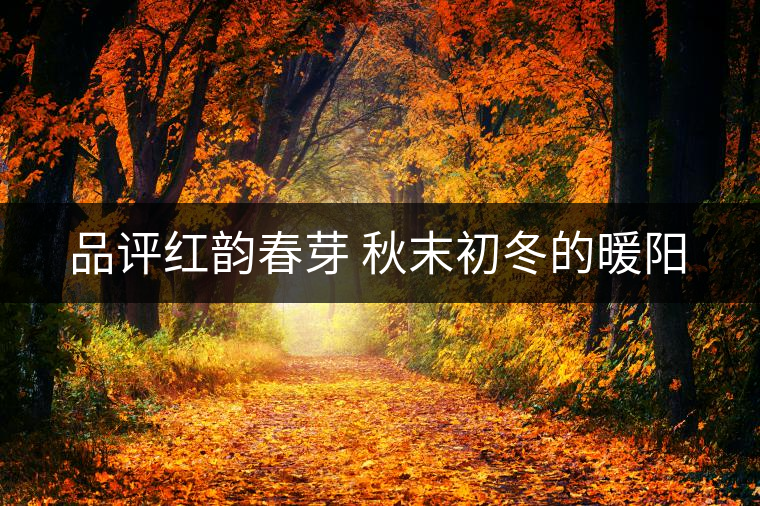 品評(píng)紅韻春芽 秋末初冬的暖陽(yáng) 品評(píng)紅韻春芽 秋末初冬的暖陽(yáng)