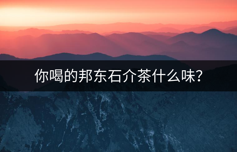 你喝的邦東石介茶什么味？