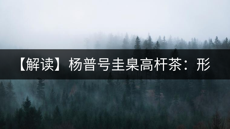 【解讀】楊普號圭臬高桿茶：形高、氣足、韻遠的一款茶