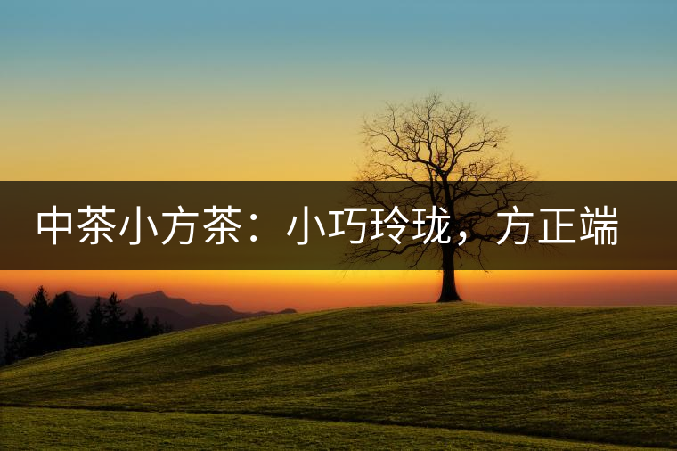 中茶小方茶：小巧玲瓏，方正端莊