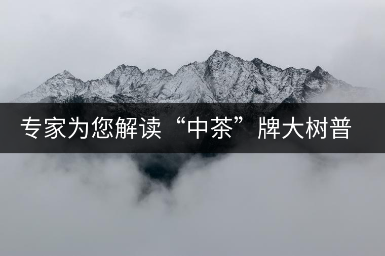 專(zhuān)家為您解讀“中茶”牌大樹(shù)普洱—落霞品評(píng)