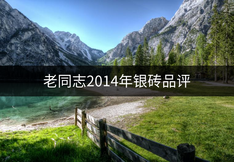 老同志2014年銀磚品評(píng)