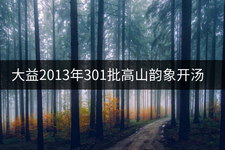 大益2013年301批高山韻象開湯品鑒 大益2013年301批高山韻象開湯品鑒