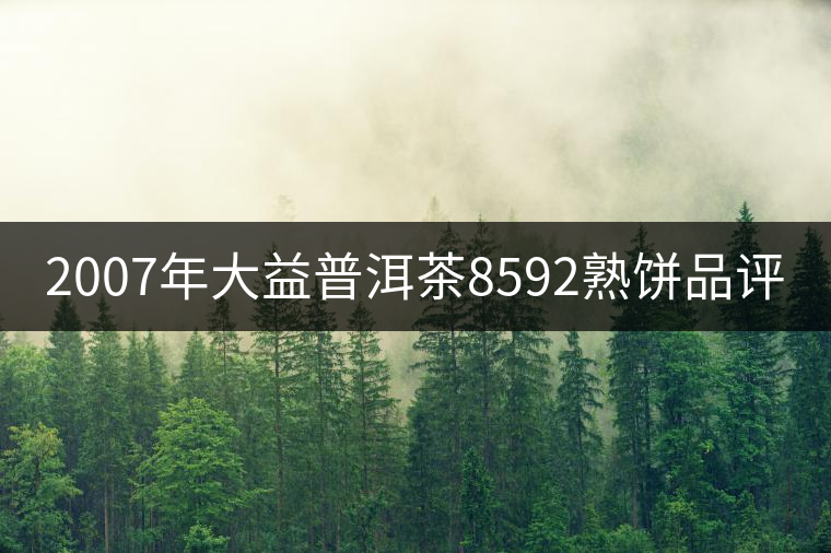 2007年大益普洱茶8592熟餅品評(píng) 2007年大益普洱茶8592熟餅品評(píng)