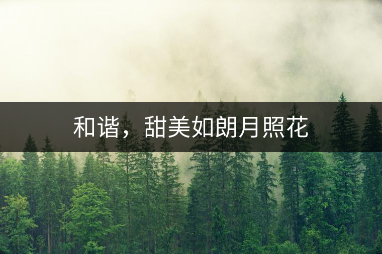 和諧，甜美如朗月照花