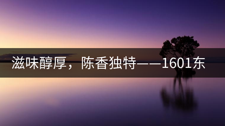 滋味醇厚，陳香獨特——1601東方美韻品鑒