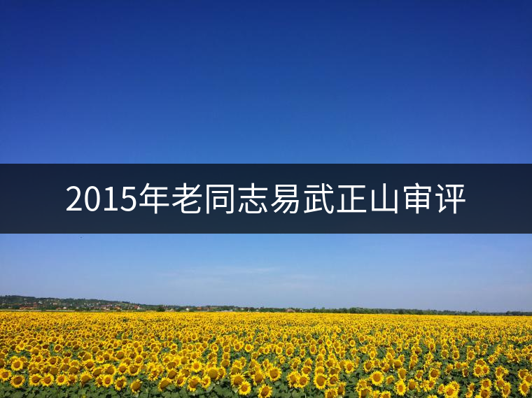 2015年老同志易武正山審評(píng) 2015年老同志易武正山審評(píng)