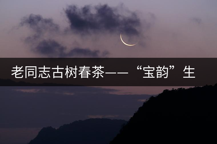 老同志古樹(shù)春茶——“寶韻”生茶開(kāi)湯鑒賞