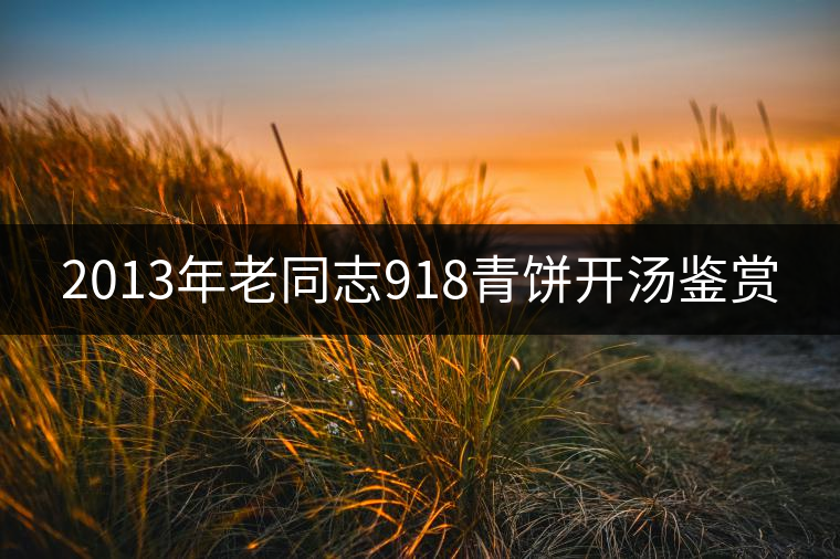 2013年老同志918青餅開湯鑒賞