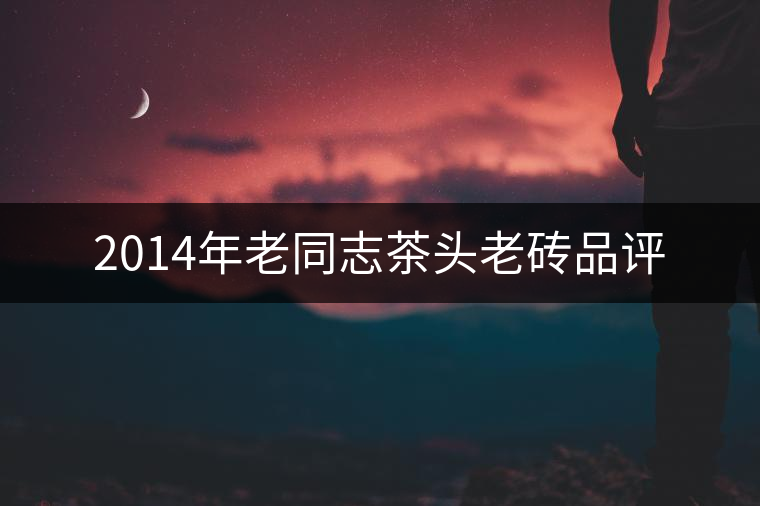 2014年老同志茶頭老磚品評 2014年老同志茶頭老磚品評