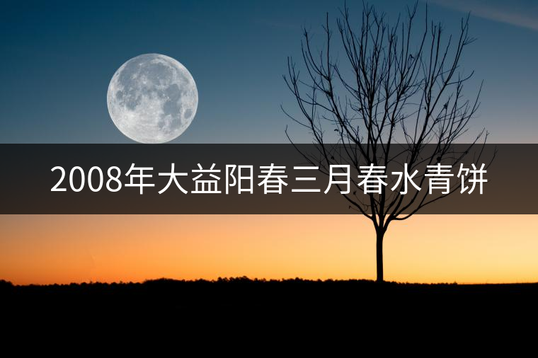 2008年大益陽(yáng)春三月春水青餅 2008年大益陽(yáng)春三月春水青餅