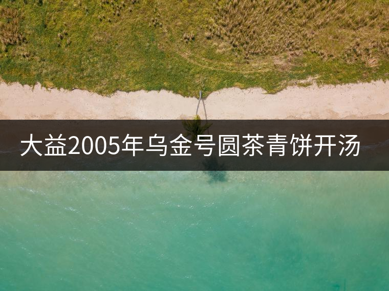 大益2005年烏金號圓茶青餅開湯品鑒 大益2005年烏金號圓茶青餅開湯品鑒