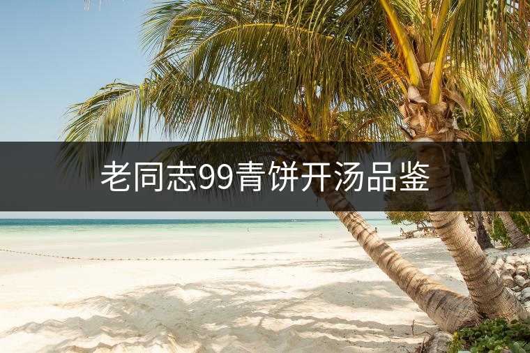 老同志99青餅開湯品鑒