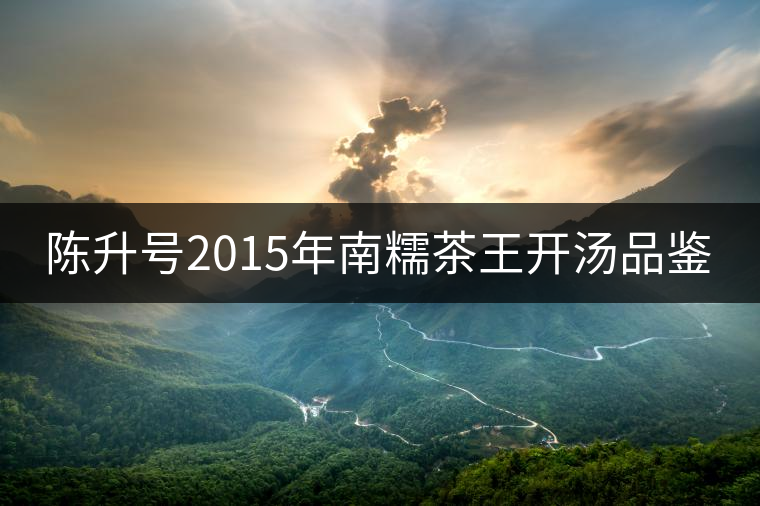 陳升號(hào)2015年南糯茶王開(kāi)湯品鑒