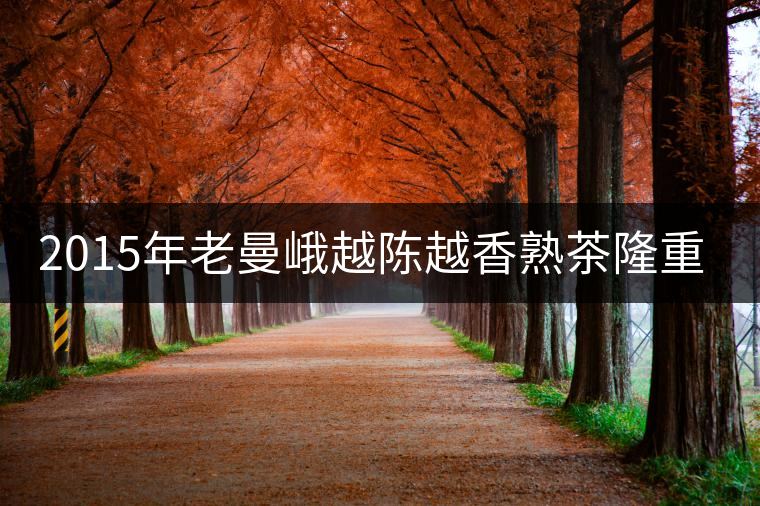 2015年老曼峨越陳越香熟茶隆重上市！