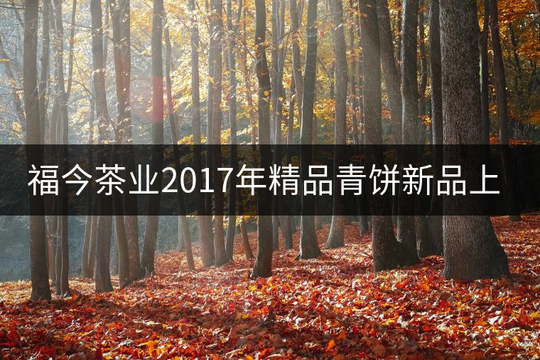 福今茶業(yè)2017年精品青餅新品上市