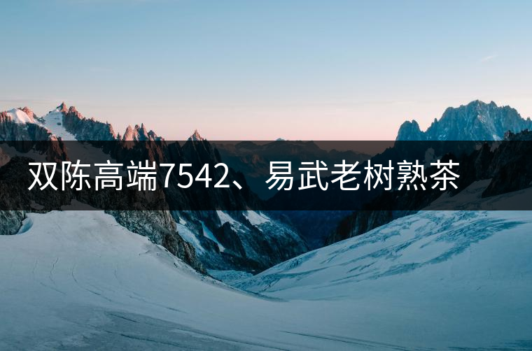 雙陳高端7542、易武老樹(shù)熟茶特級(jí)品正式上市