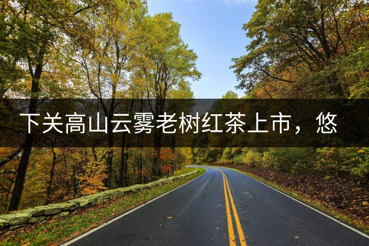 下關(guān)高山云霧老樹(shù)紅茶上市，悠悠春茶香