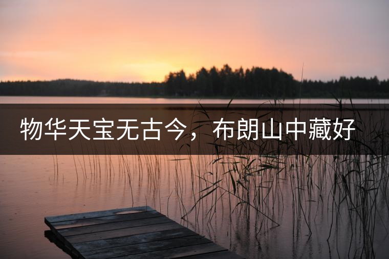 物華天寶無古今，布朗山中藏好茶