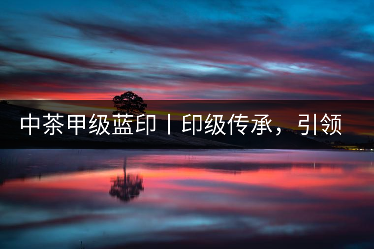 中茶甲級藍印丨印級傳承，引領(lǐng)風(fēng)韻