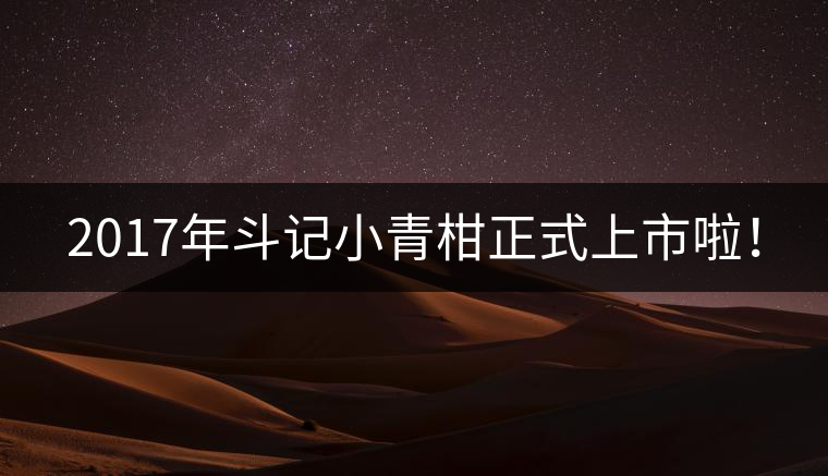 2017年斗記小青柑正式上市啦！