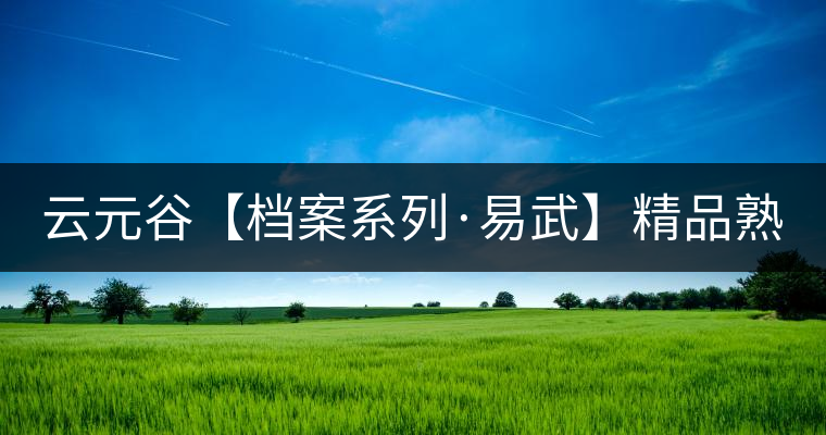 云元谷【檔案系列·易武】精品熟茶，精裝上市！
