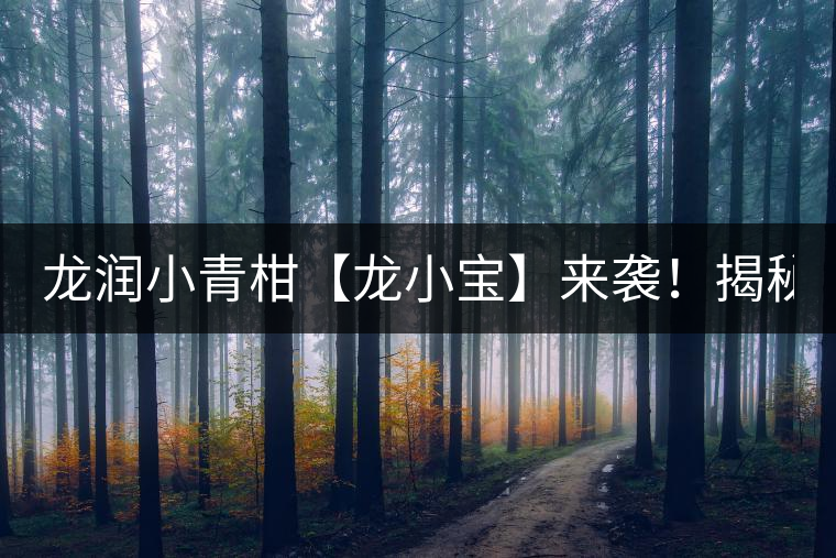 龍潤(rùn)小青柑【龍小寶】來(lái)襲！揭秘它的前半生！