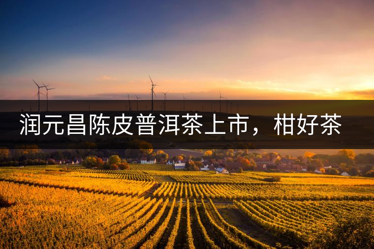 潤(rùn)元昌陳皮普洱茶上市，柑好茶更好，精品普洱茶