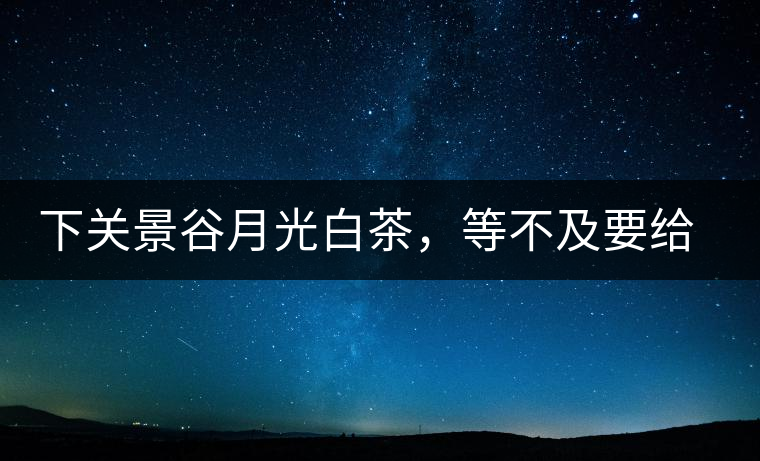 下關(guān)景谷月光白茶，等不及要給你的思念