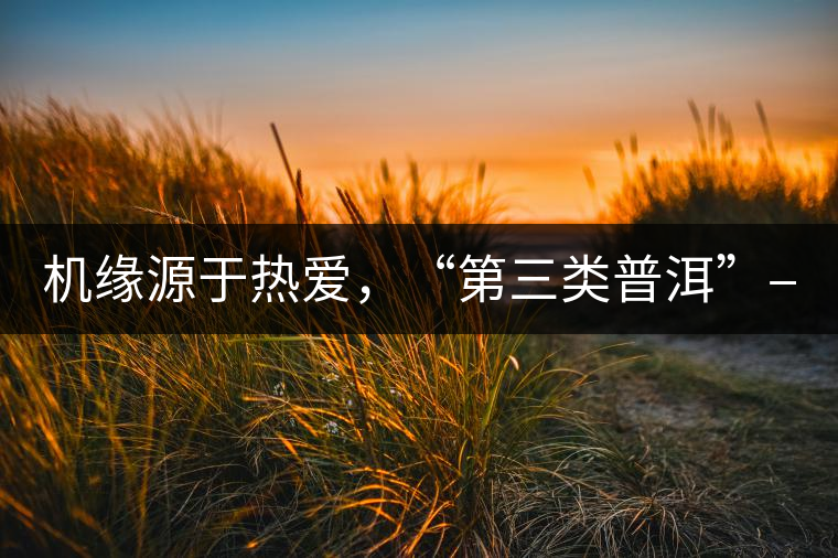 機緣源于熱愛，“第三類普洱”——“散壓茶TM”的誕生。
