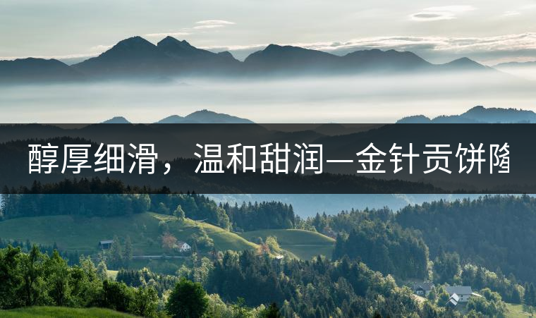醇厚細(xì)滑，溫和甜潤—金針貢餅隆重上市！