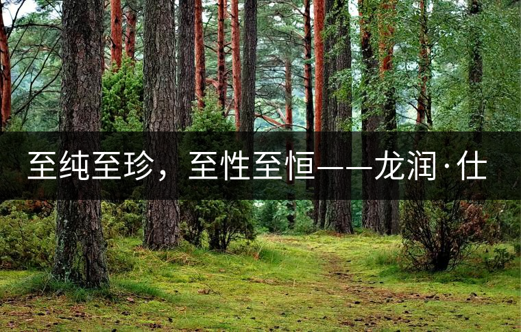 至純至珍，至性至恒——龍潤·仕通茶新上市！