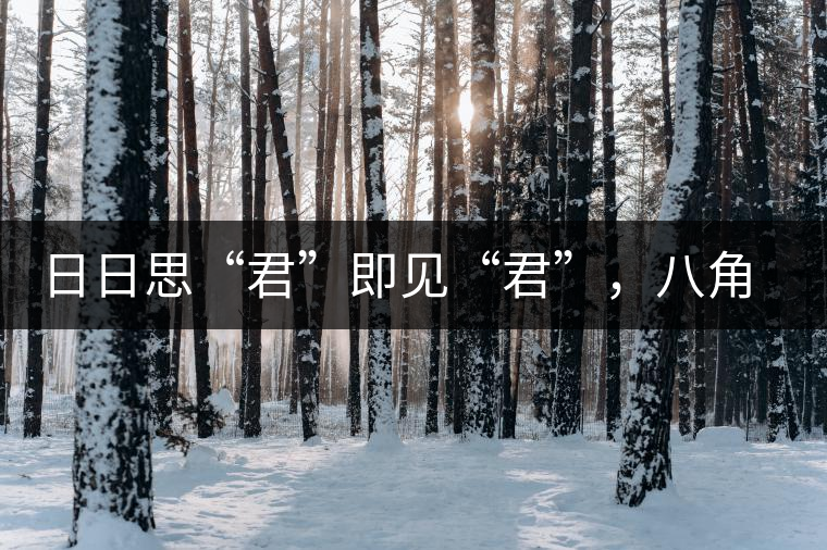 日日思“君”即見“君”，八角亭竹筒茶君子即將上市