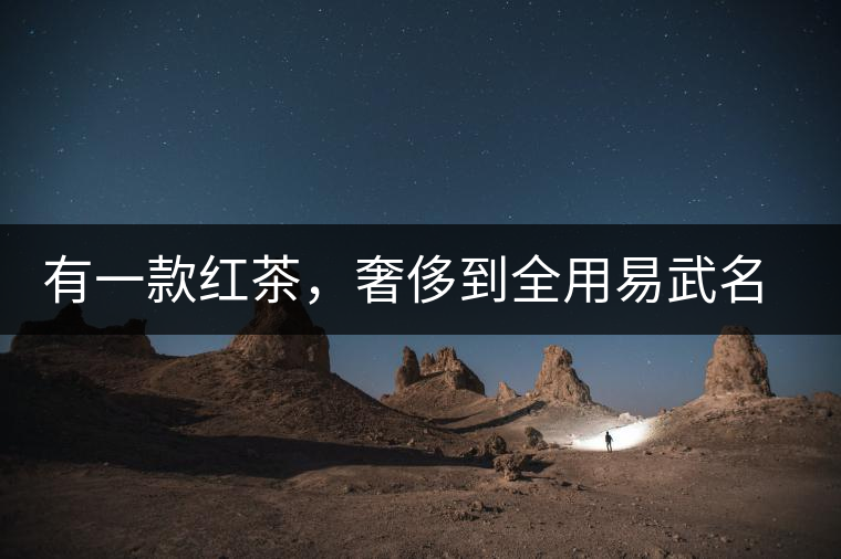 有一款紅茶，奢侈到全用易武名寨古樹茶發(fā)酵！