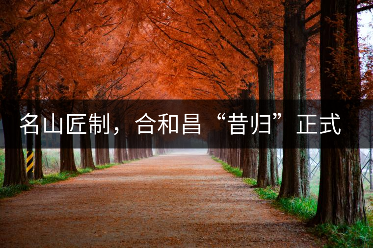 名山匠制，合和昌“昔歸”正式上市