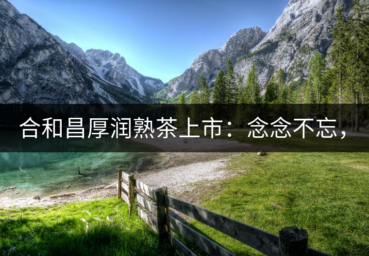 合和昌厚潤熟茶上市：念念不忘，必有回響！