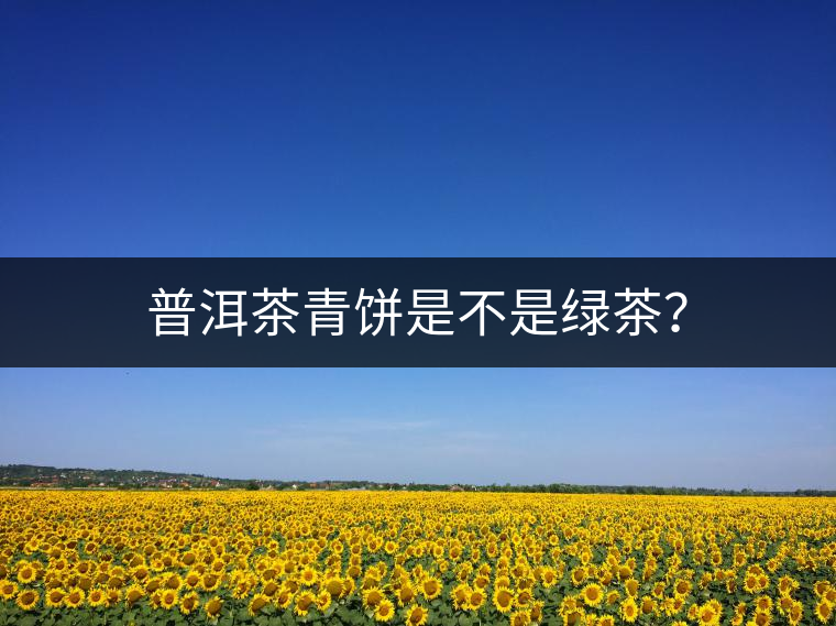 普洱茶青餅是不是綠茶？