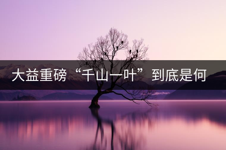 大益重磅“千山一葉”到底是何方神圣？