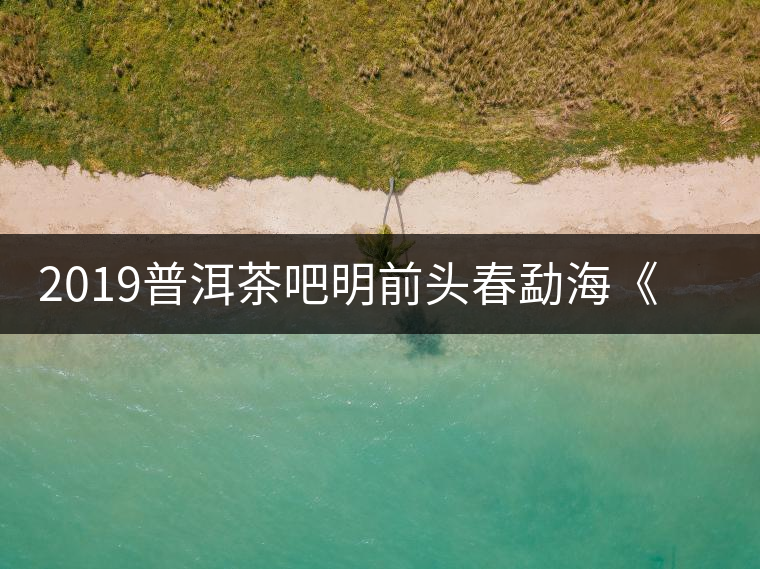 2019普洱茶吧明前頭春勐?！对鹿獍住钒撞鑳?yōu)惠訂購(gòu)