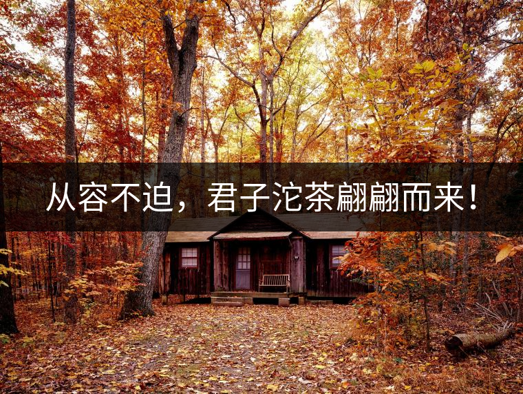 從容不迫，君子沱茶翩翩而來(lái)！