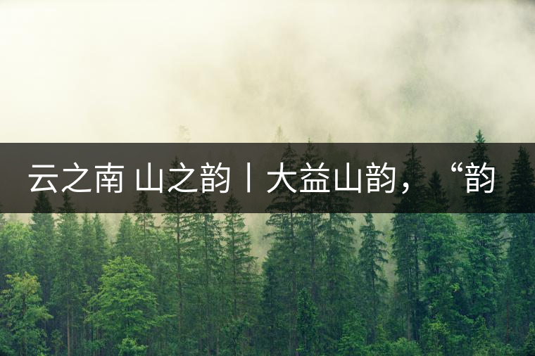 云之南 山之韻丨大益山韻，“韻”味傳奇之山韻歸來